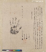 藏品(乾隆六十年（1795）貓裡錫口社番擇擇立給佃批字)的圖片